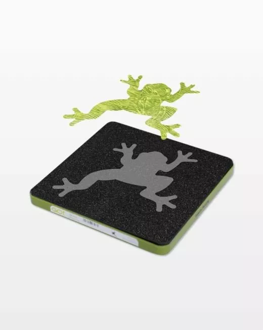 GO! Leaping Frog 55199