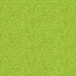 Grass in Bright Green - Landscape 2021 - Makower
