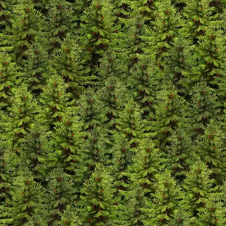 Green Packed Trees