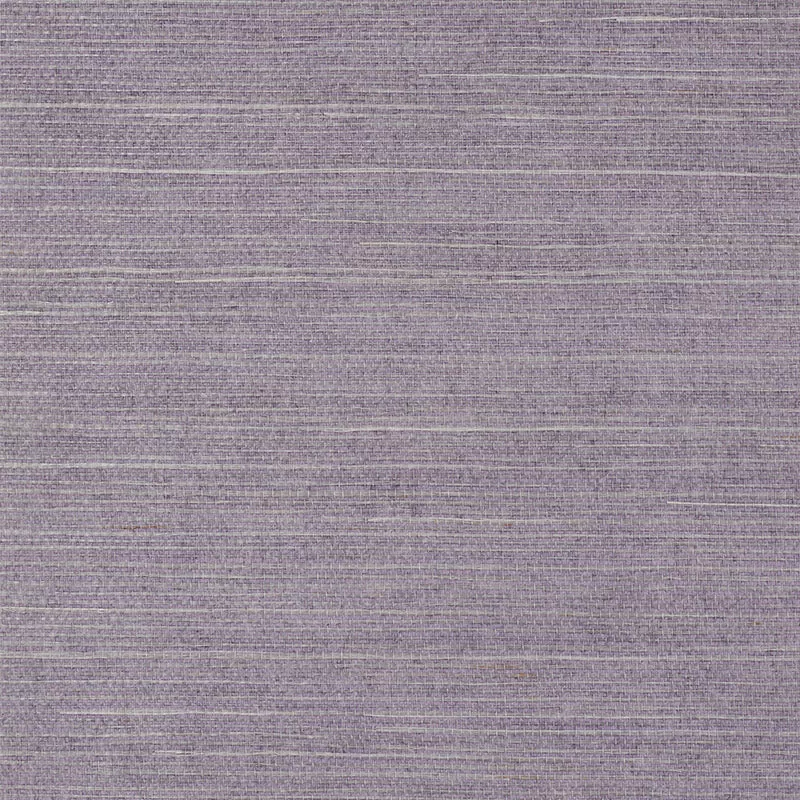 HARUKI SISAL THISTLE