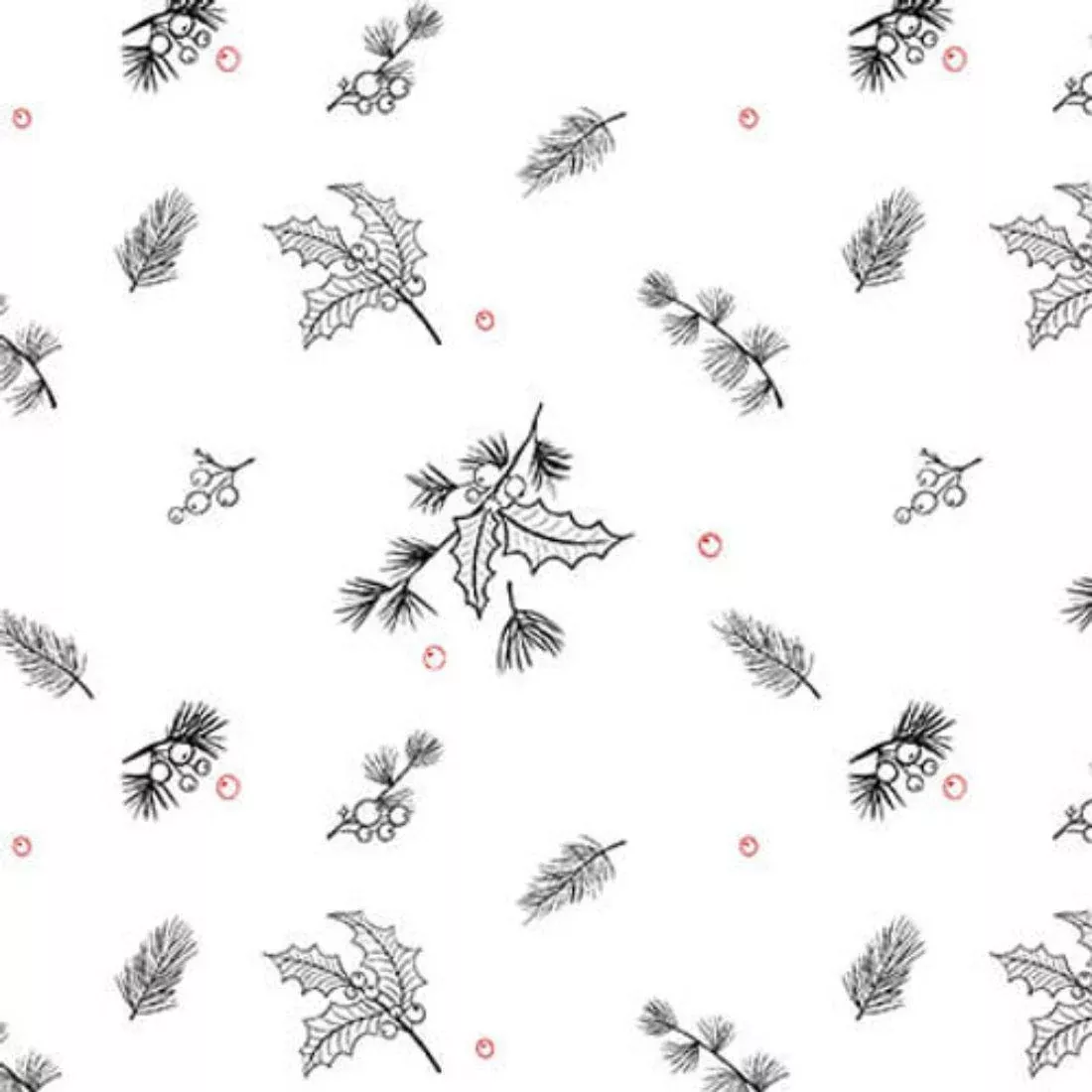 Holly on White by Blank Studio