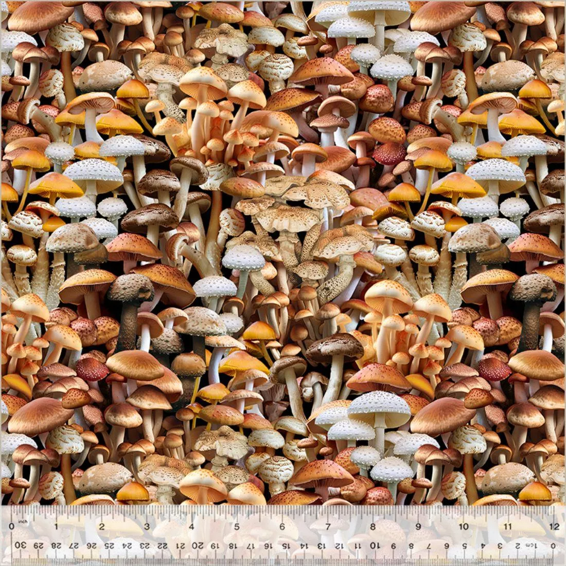 I'm a Fungi by Windham Studio