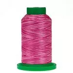 isacord-thread-variegated-1000m-2579-9923-rasberries-cream Isacord Thread Variegated 1000m 2579-9923 Rasberries & Cream