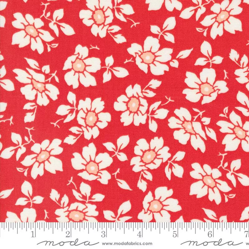 Jelly Jam Strawberry 20491 14