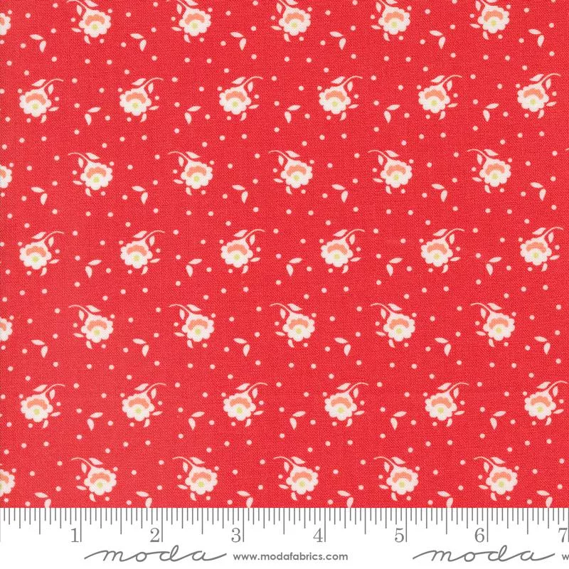 Jelly Jam Strawberry 20497 14