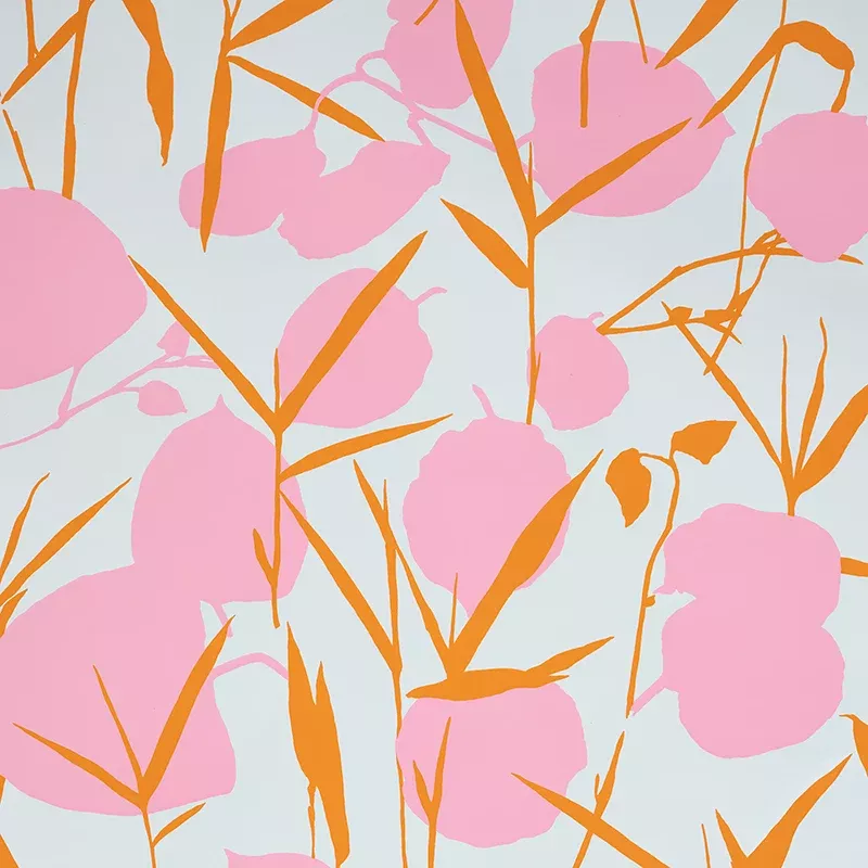 JOAN PINK