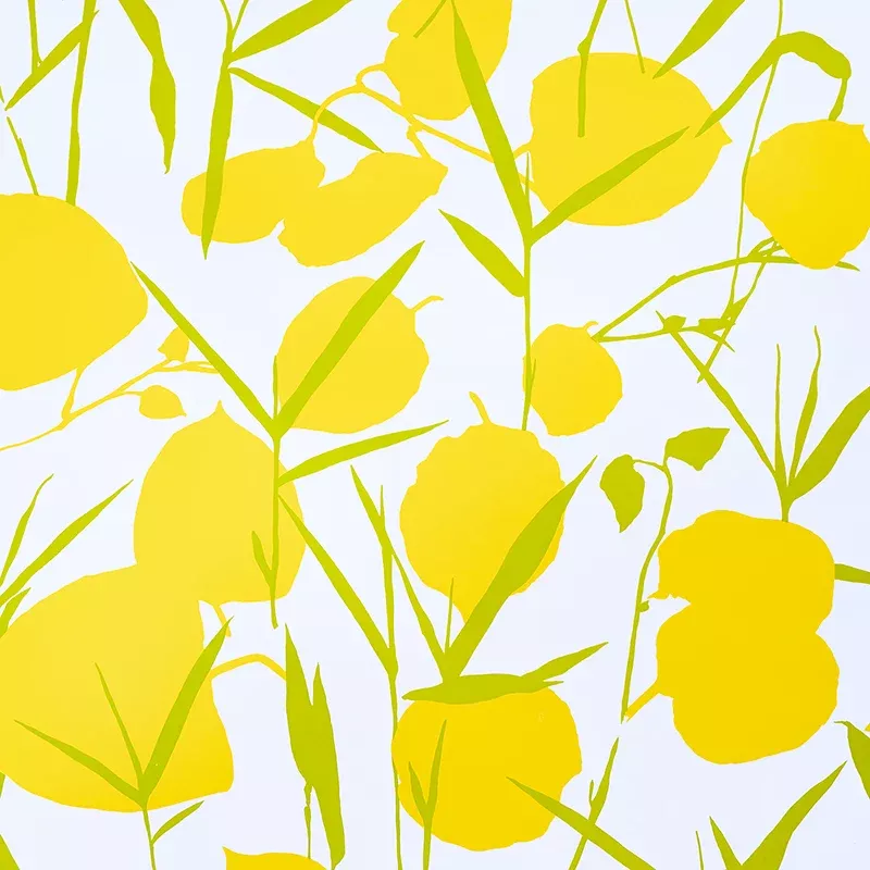 JOAN YELLOW