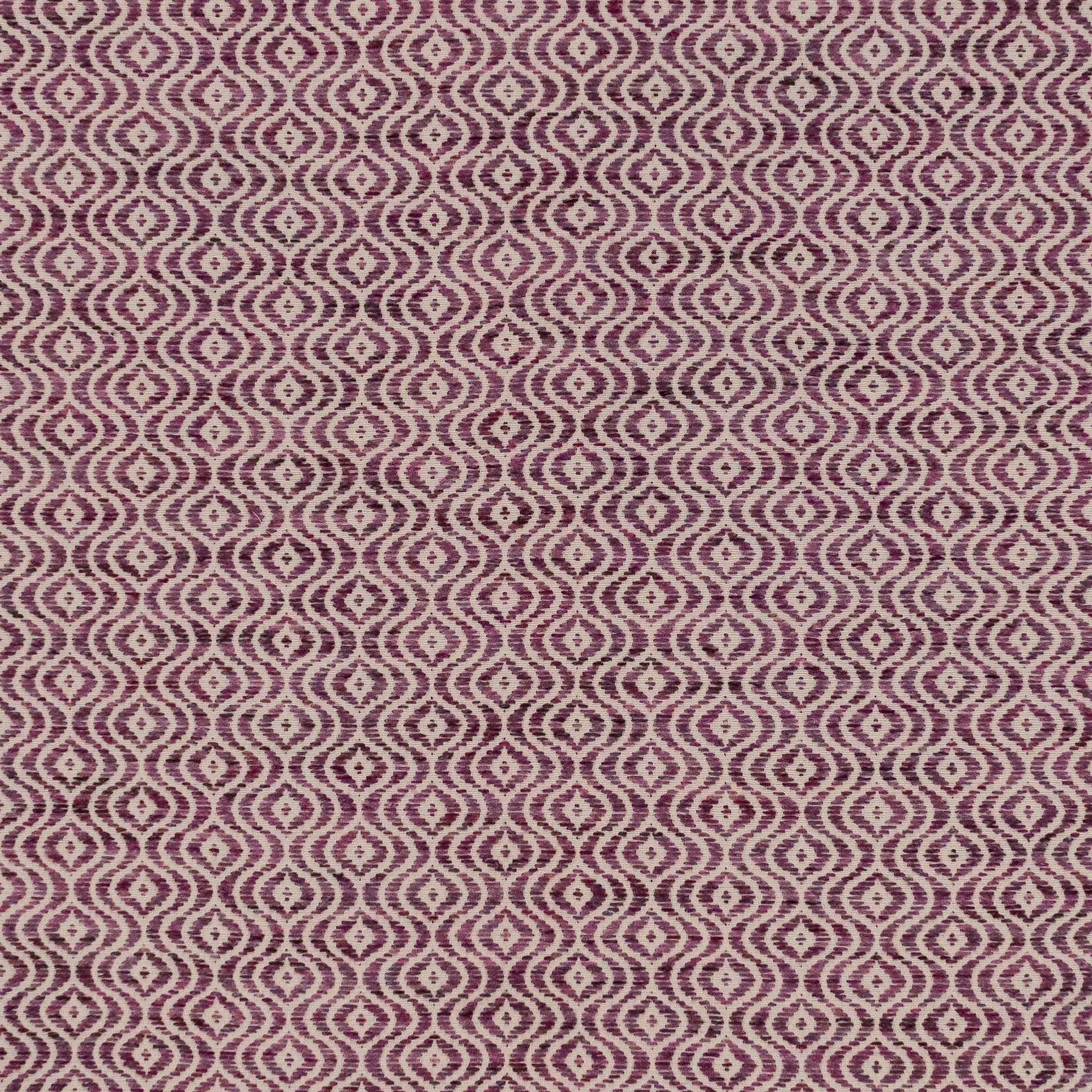 kittani-plum Kittani Plum