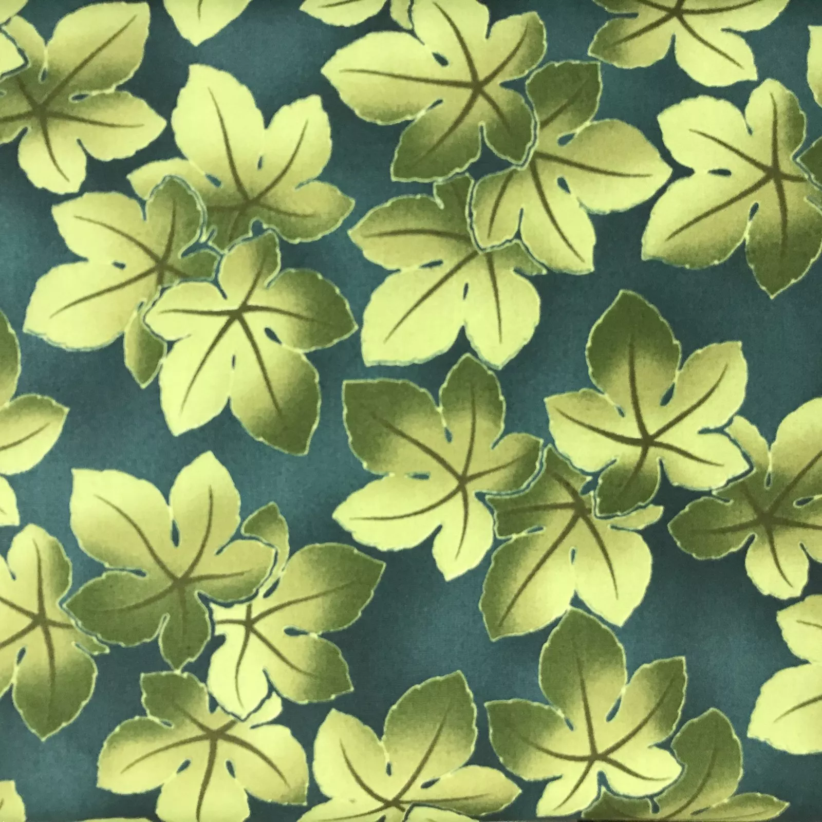 Kona Bay Moss FLEV-01