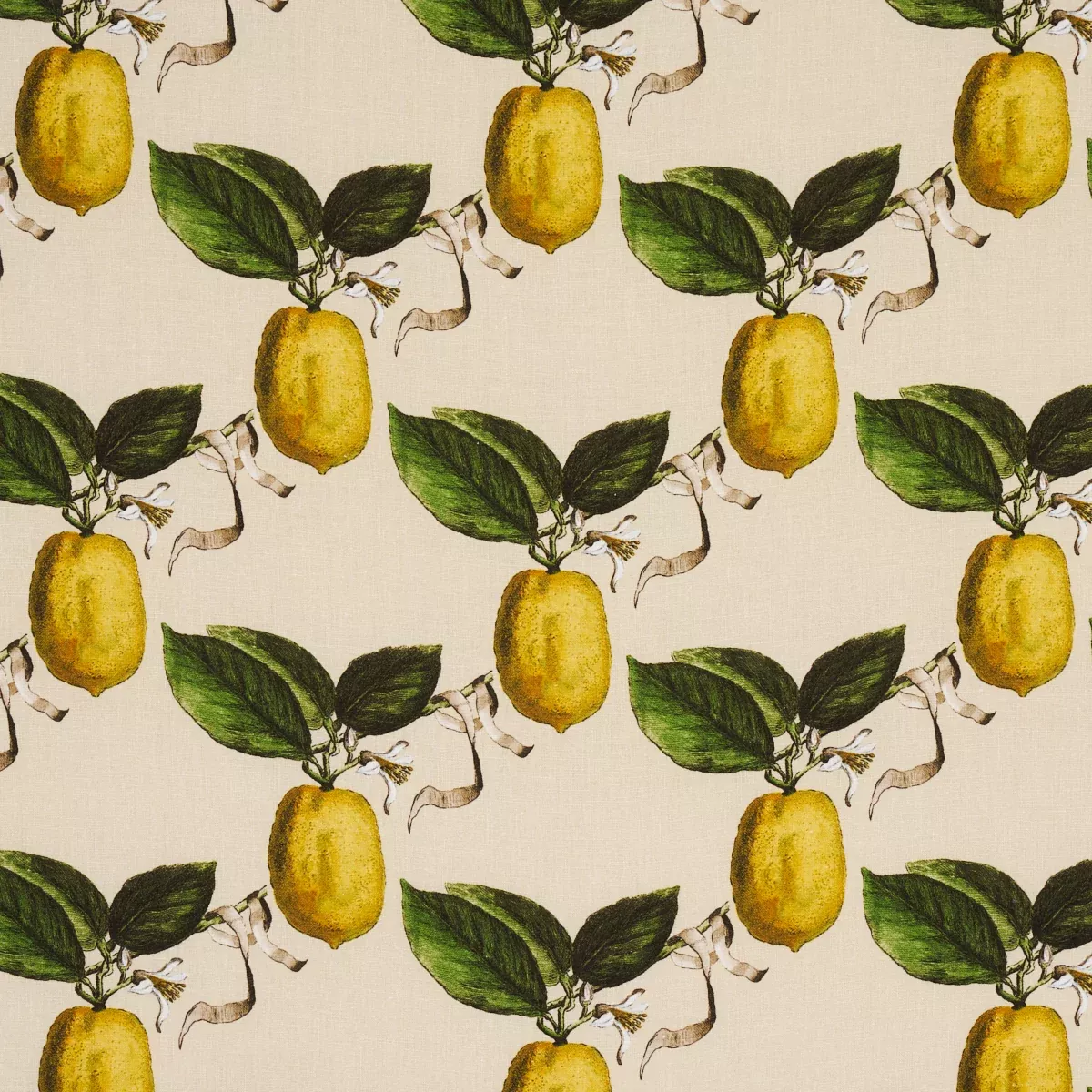 LE CITRON NATURAL