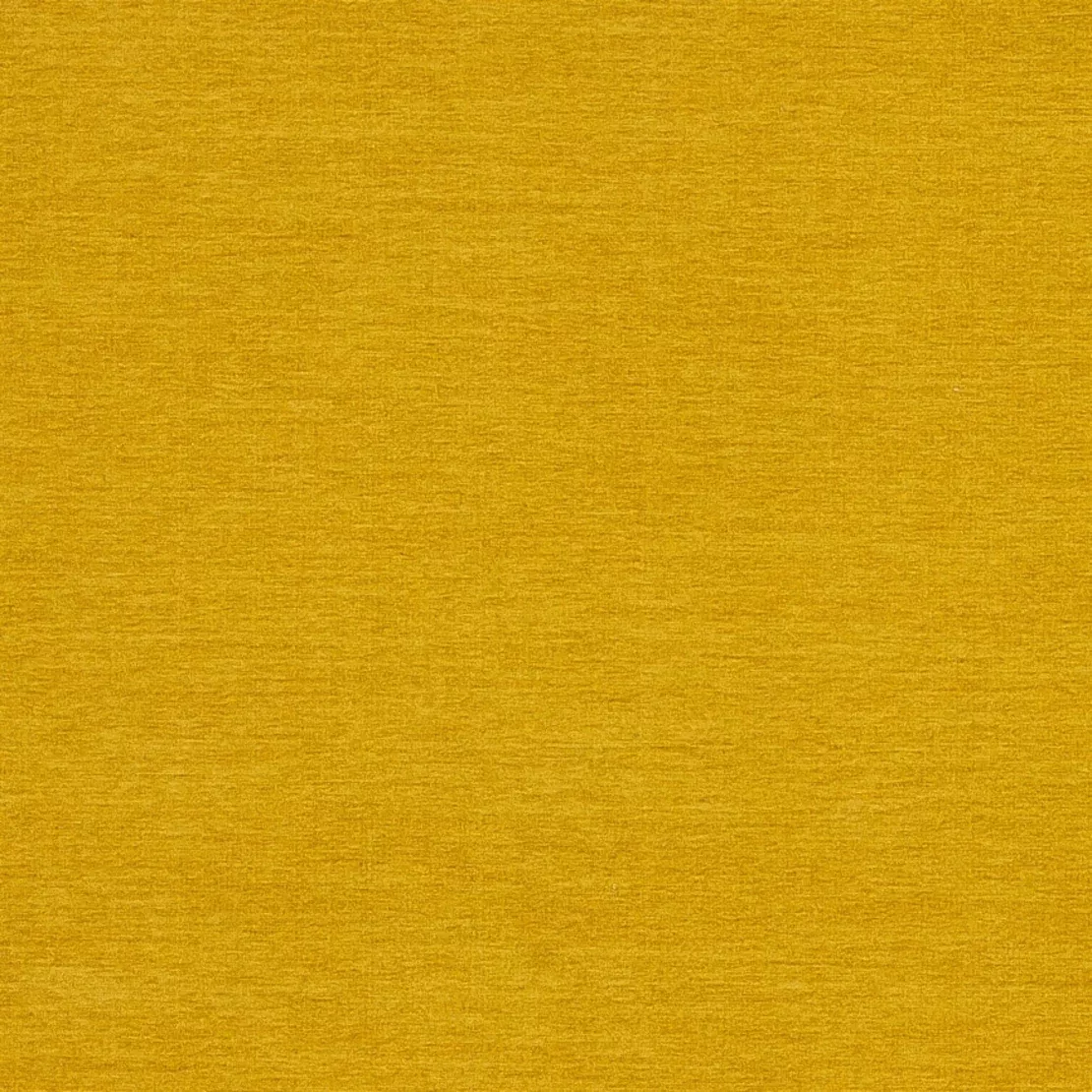 lemon-chenille Lemon Chenille