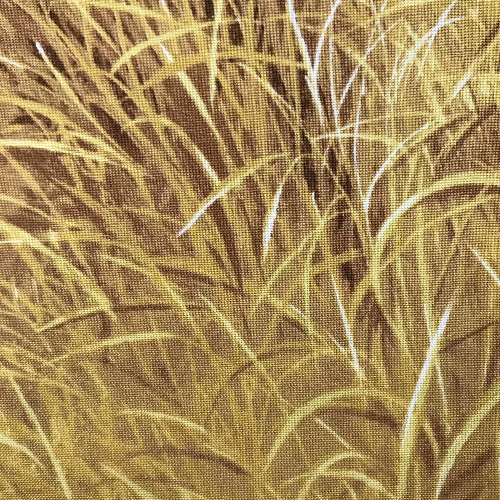 Lions Multi Grass 68378 4