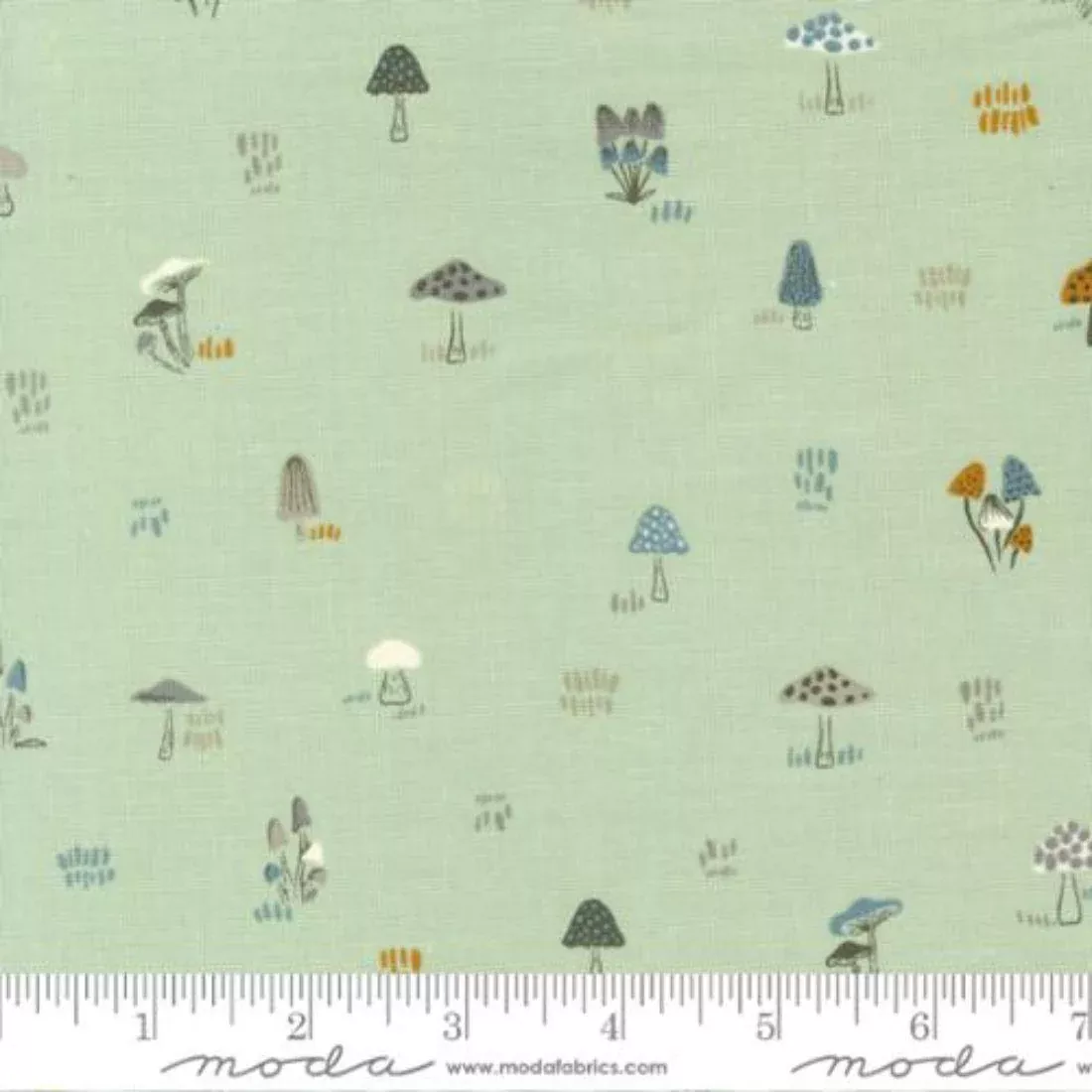 little-mushrooms-pale-mint-by-stephanie-sliwinski Little Mushrooms Pale Mint by Stephanie Sliwinski