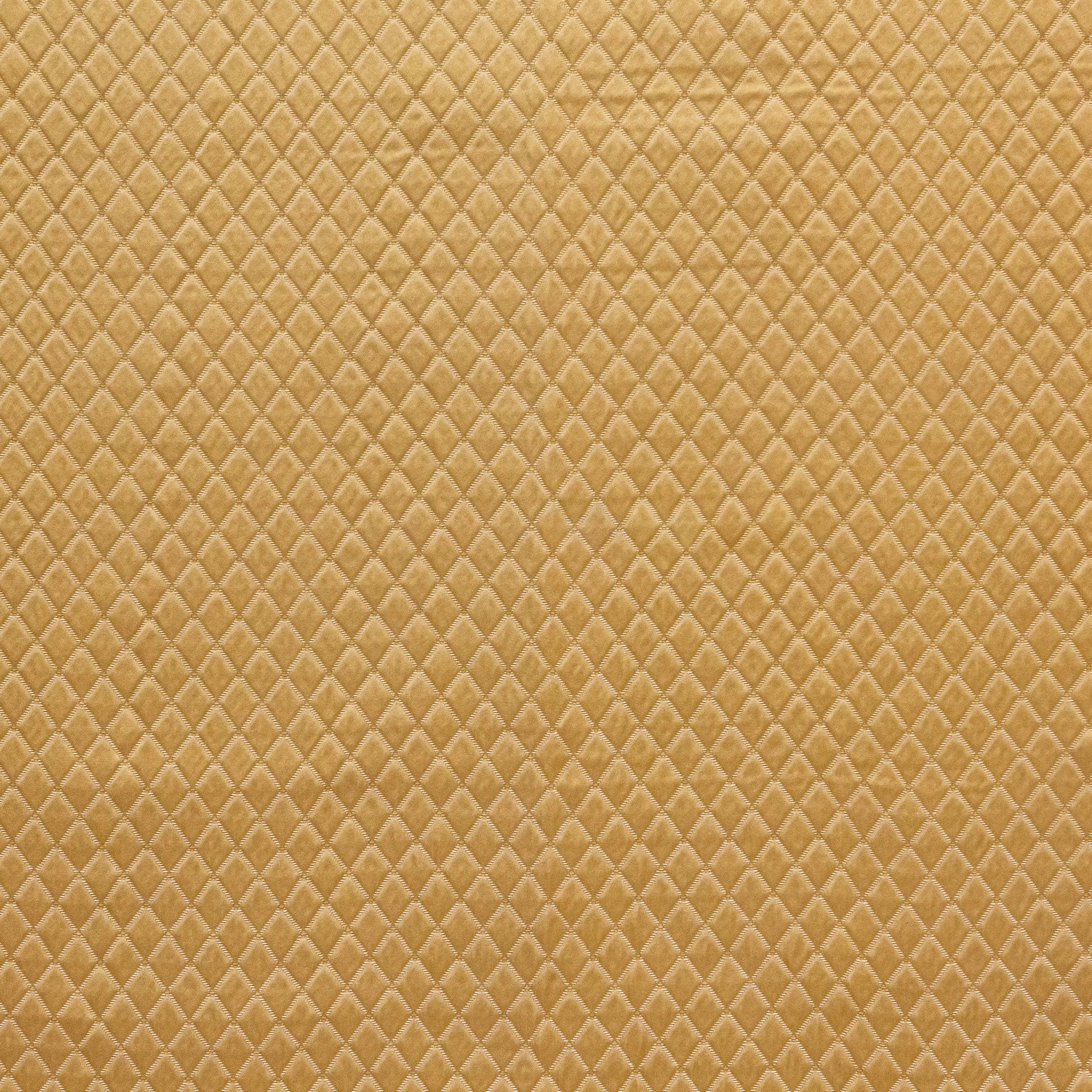 lorelei-ormolu Lorelei Ormolu