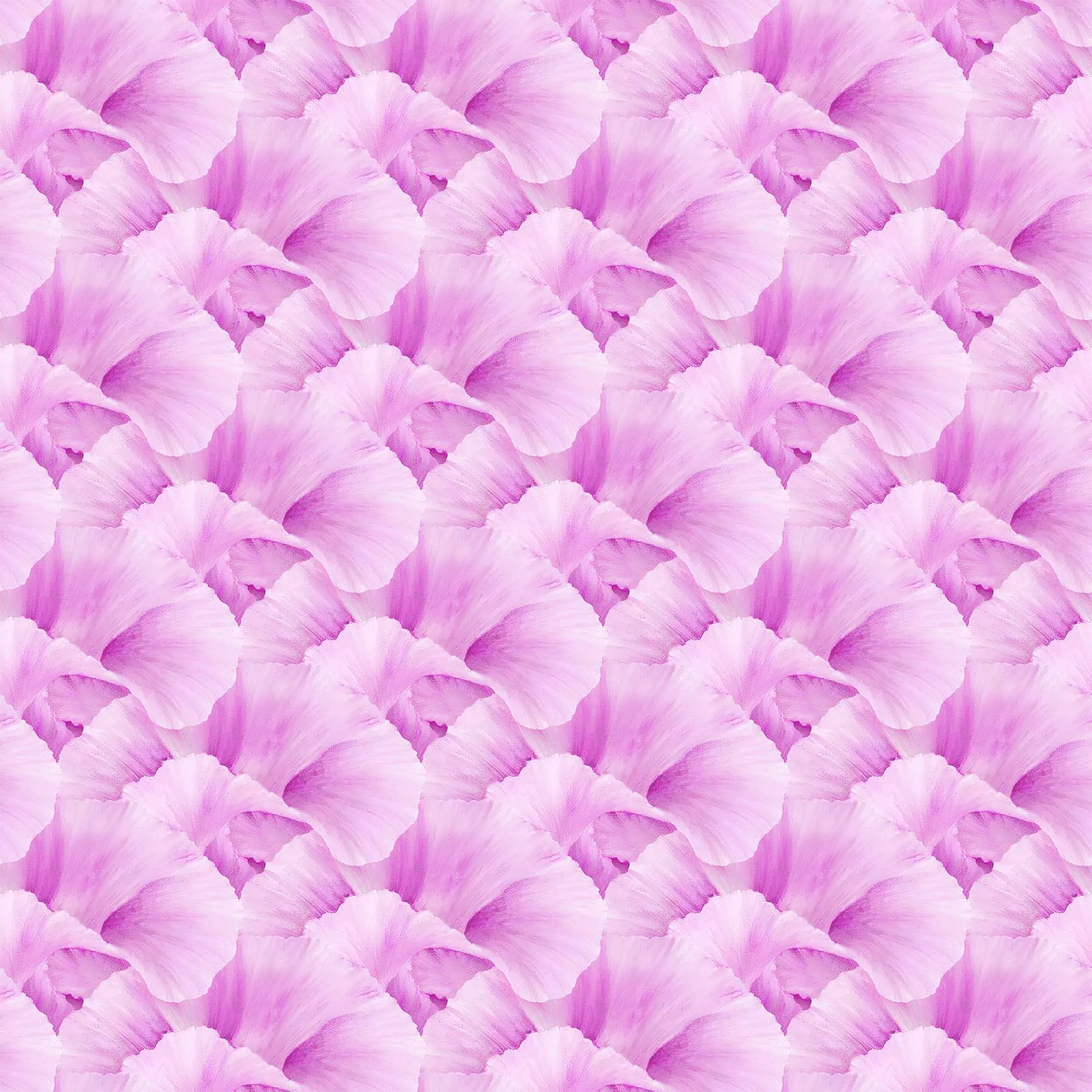 LUSH - Iris LIGHT MAGENTA DP24192-26