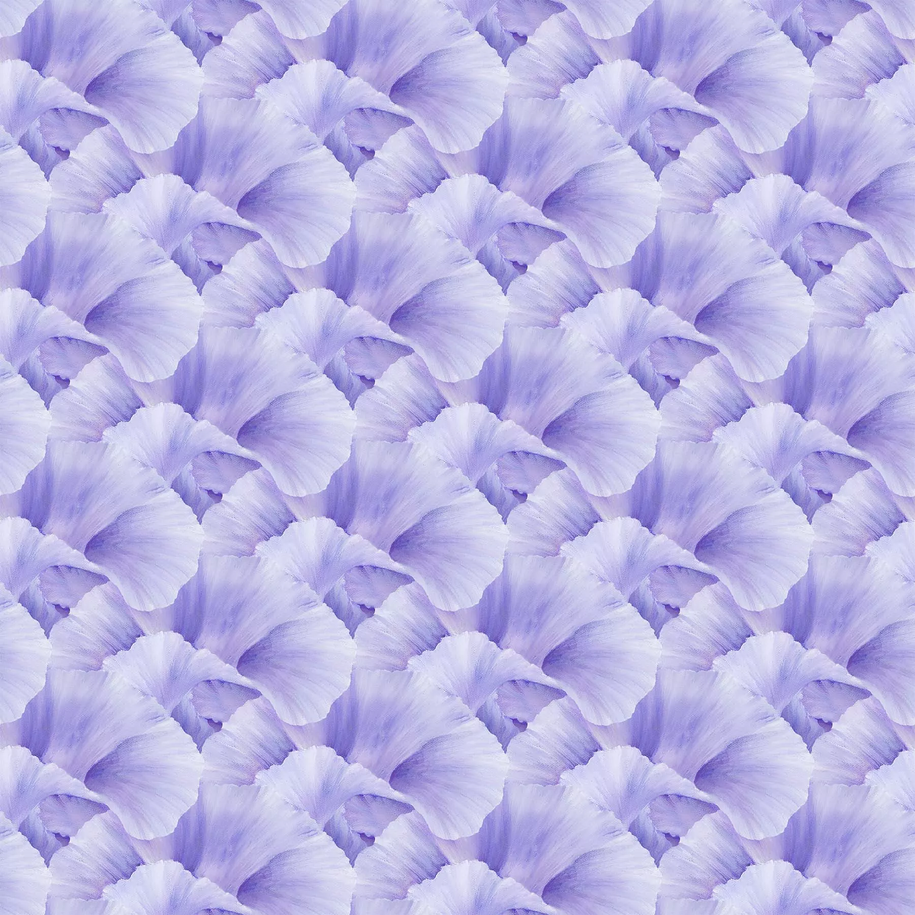 LUSH - Iris LIGHT VIOLET DP24192-83