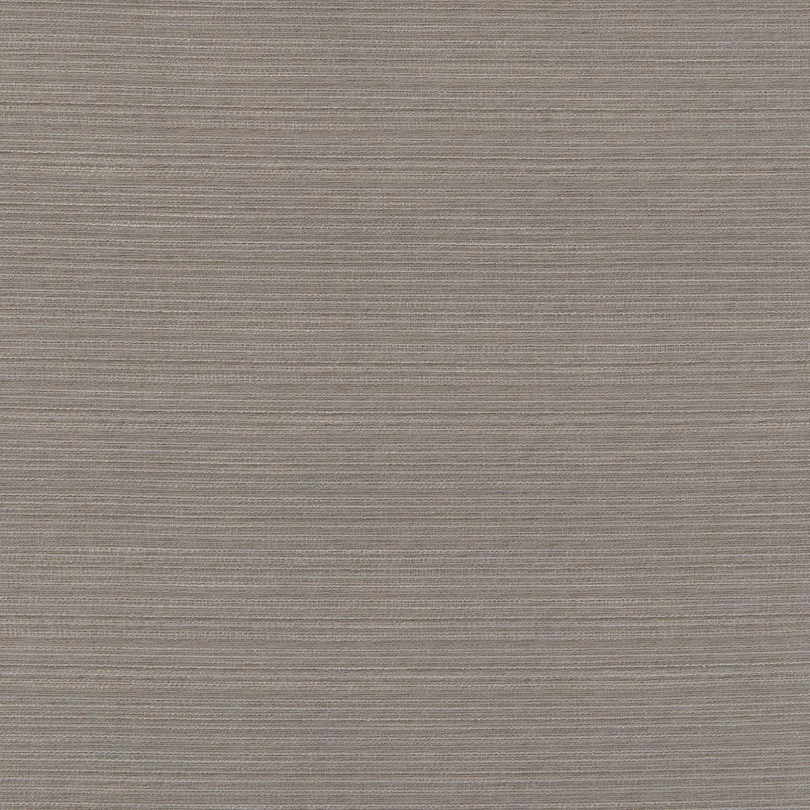 macari-sand-dollar Macari-Sand Dollar