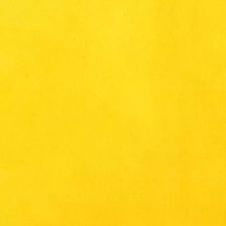 Marcia-Derse_Daffodil Solid