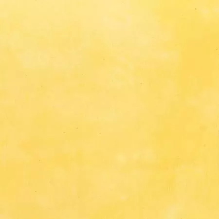 Marcia Derse Palette Solids Little Yellow