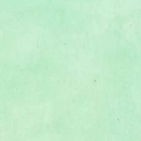 Marcia Derse Palette Solids Minty Green