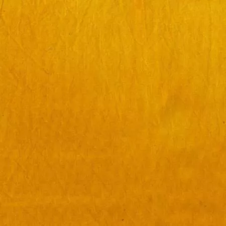 Marcia-Derse_Saffron Solid