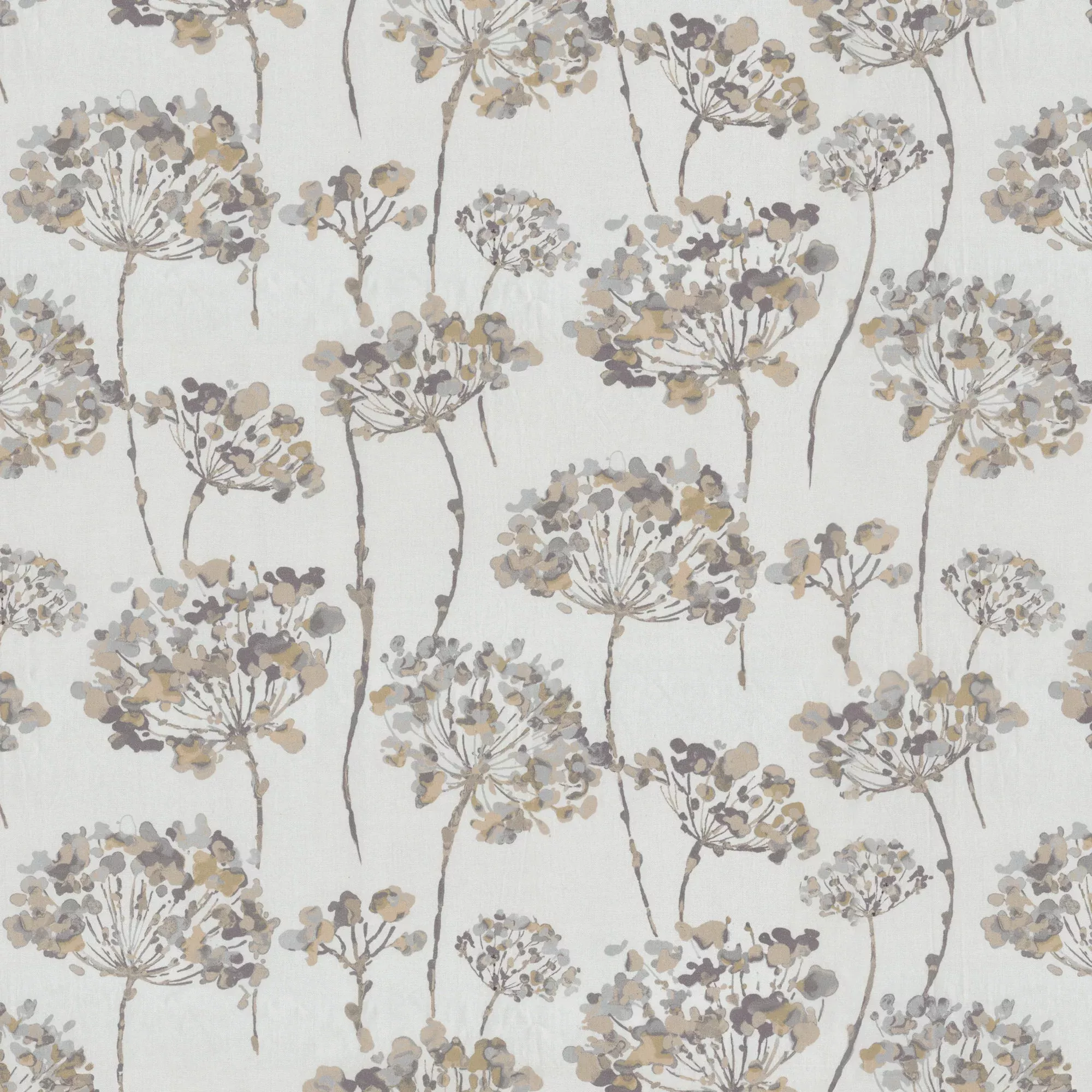 mayflower-neutral MAYFLOWER - Neutral