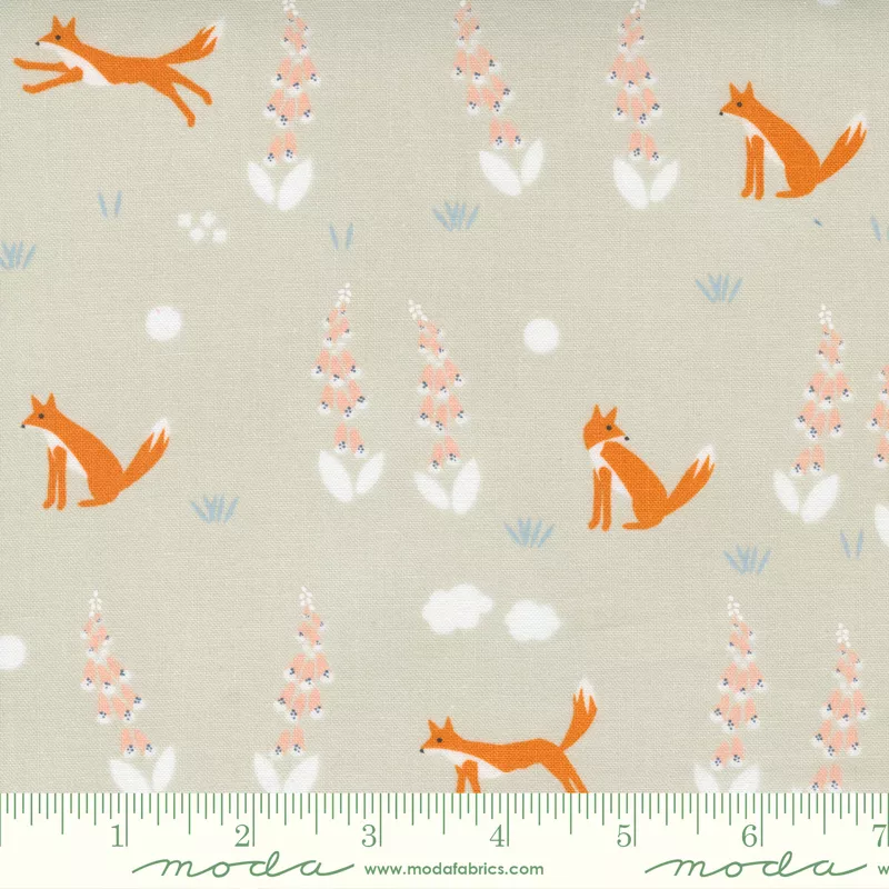Meander Foxes Cloud