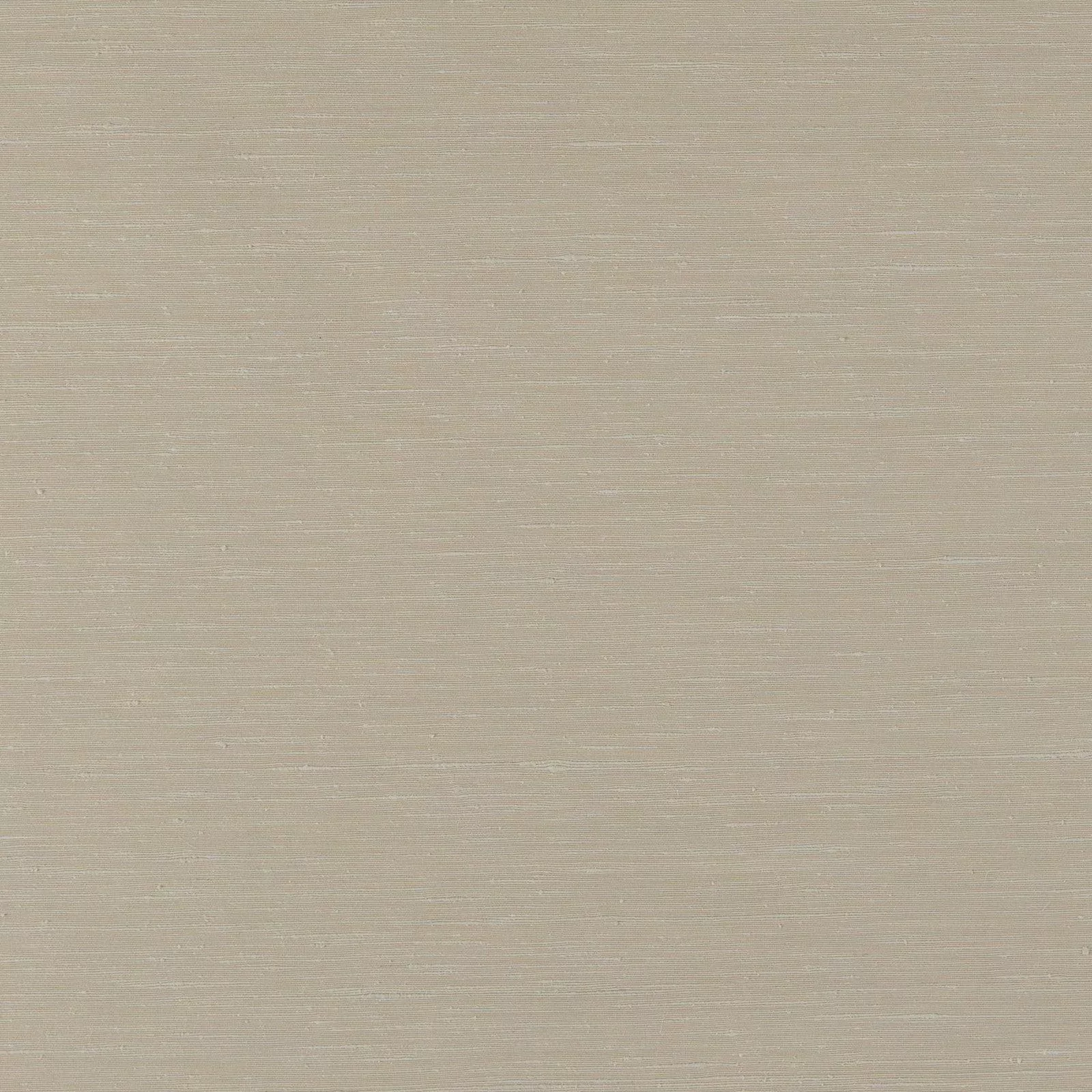 Mercury-Carrera