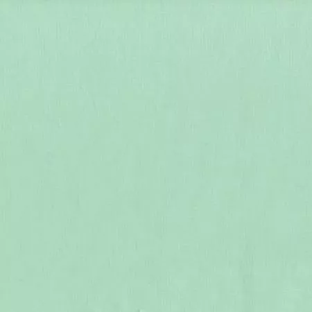 Mint Cotton Couture Solid SC5333-MINT