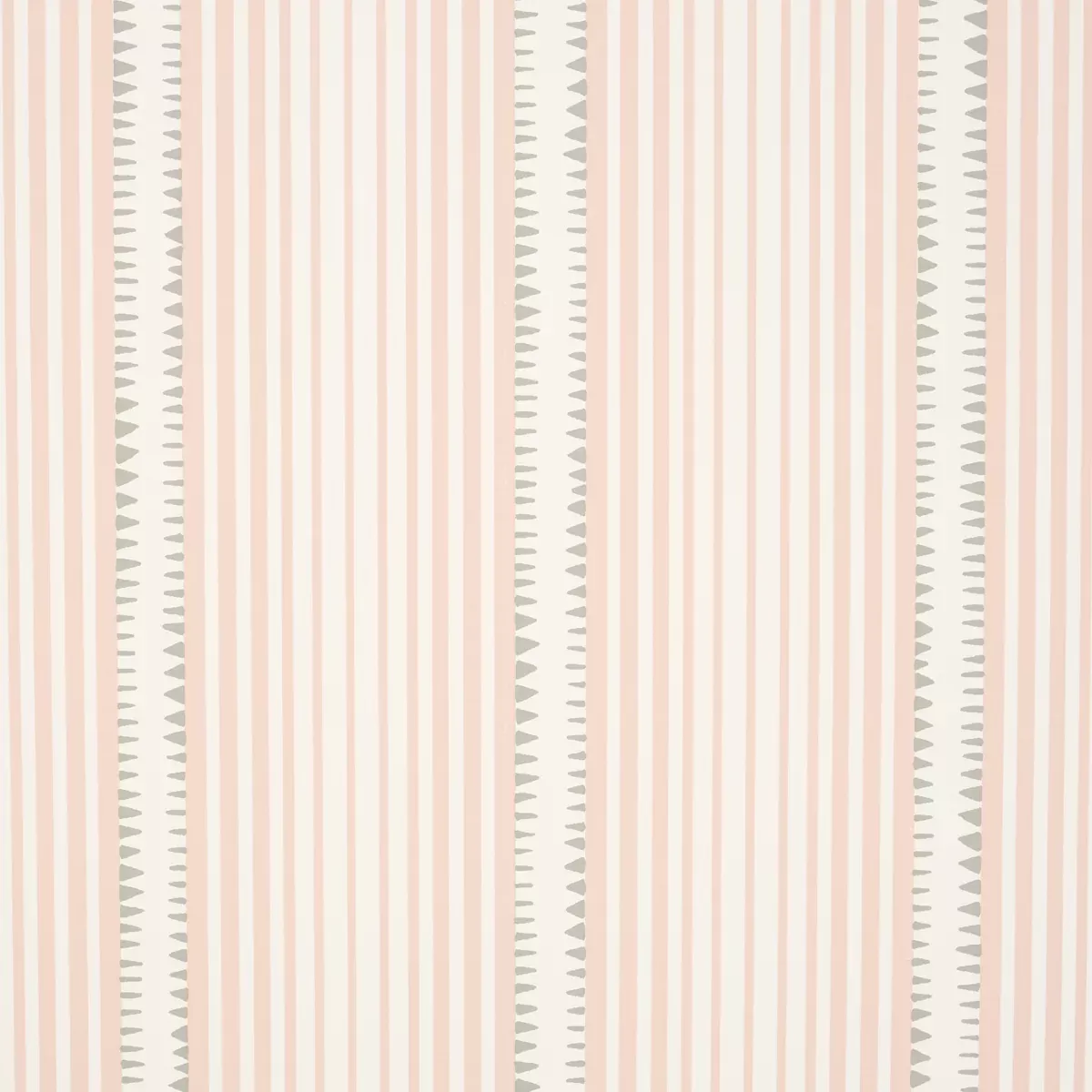MONCORVO PINK