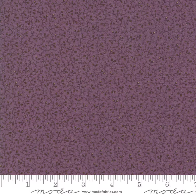 Nancy’s Needle – 31607-17