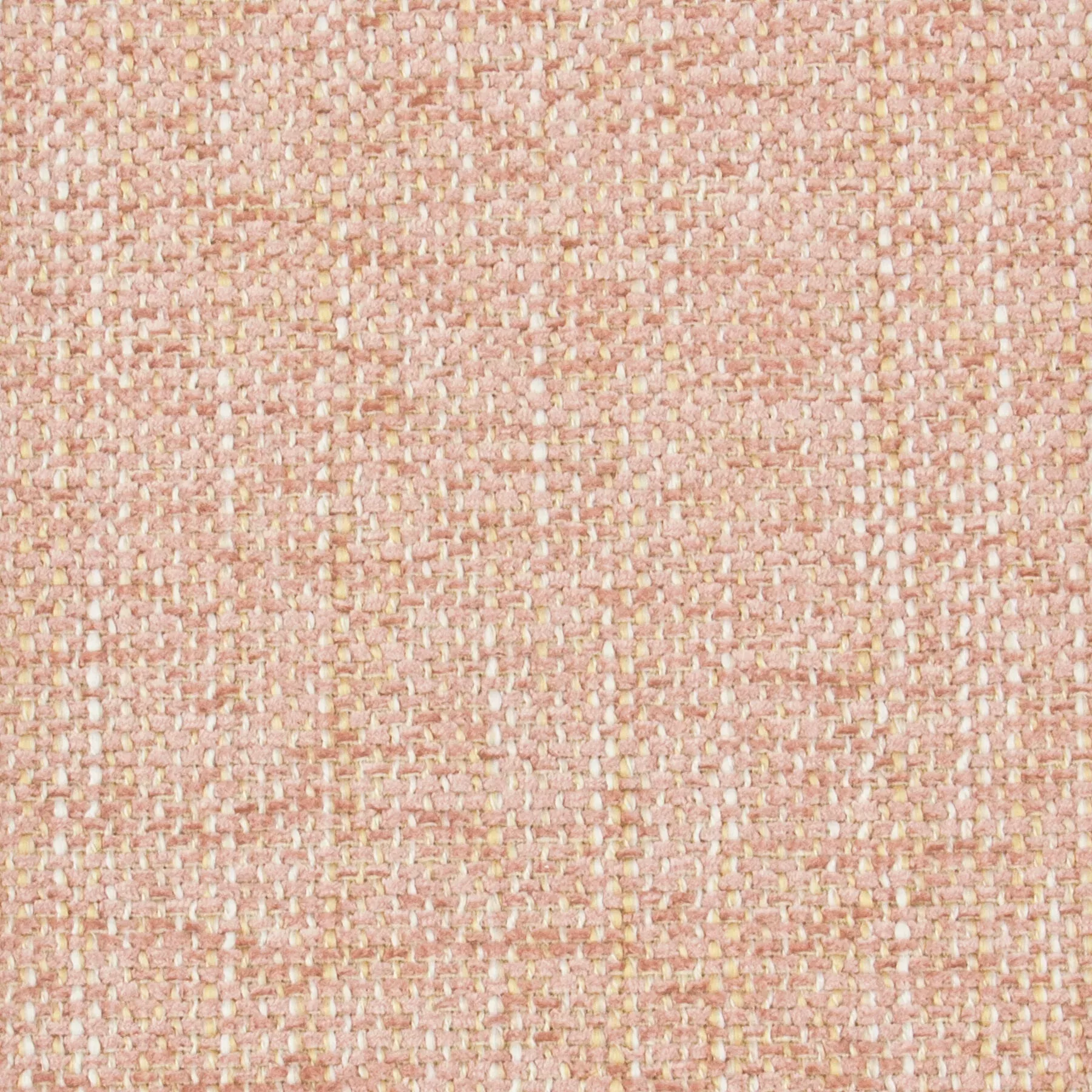 narbeth-1-blossom NARBETH 1 BLOSSOM