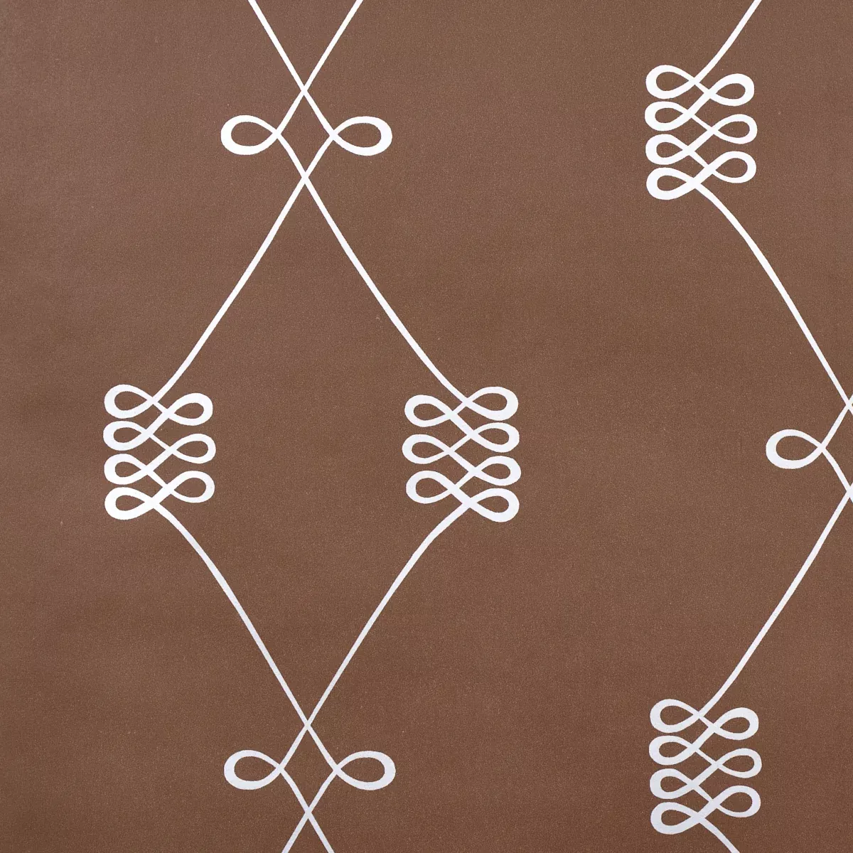 NICOLETTE SILVER ON BROWN