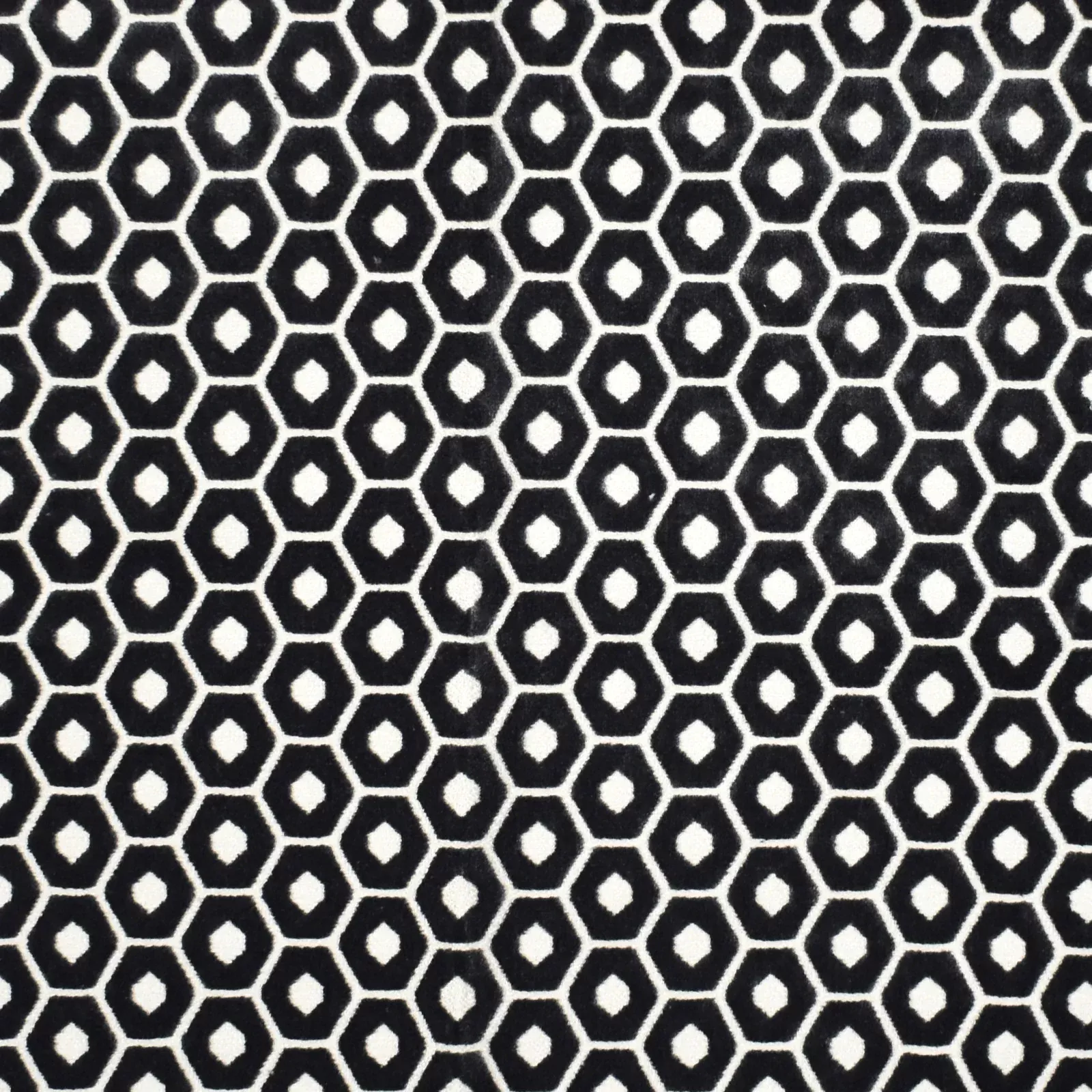 nuts-f2236-coal Nuts F2236 Coal