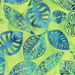 Oasis - Monstera Garden