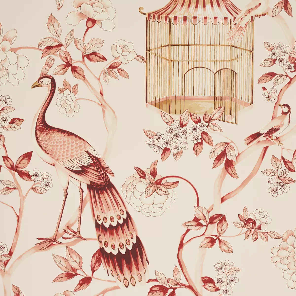 Oiseaux Et Fleurs Cinnabar