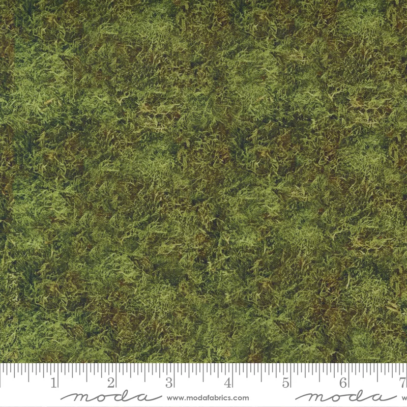 Outdoorsy Forest Moss