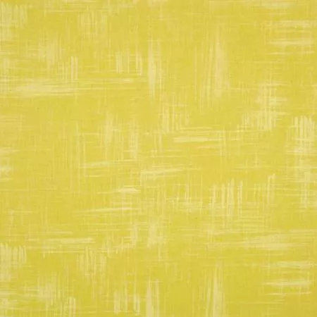 Painters Canvas – Lemon