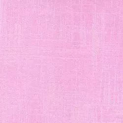 Painters Canvas – Princess