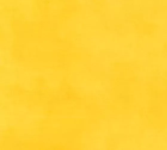 palette-37098-117-lemon-zest Palette 37098-117 Lemon Zest
