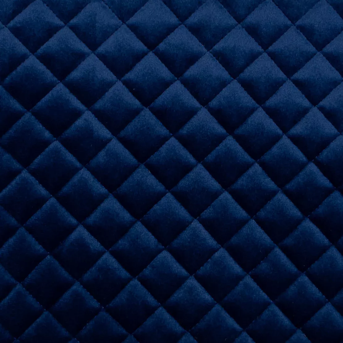 paloma-navy Paloma Navy