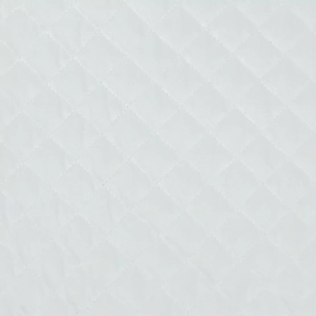 paloma-pure-white Paloma Pure White