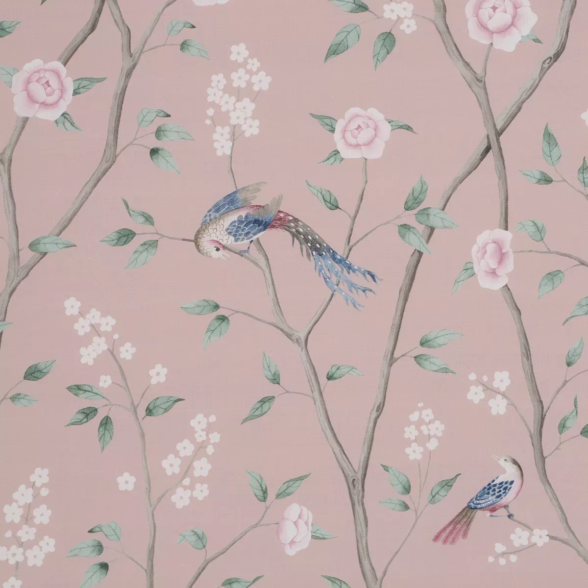 PARADISE BIRDS BLUSH