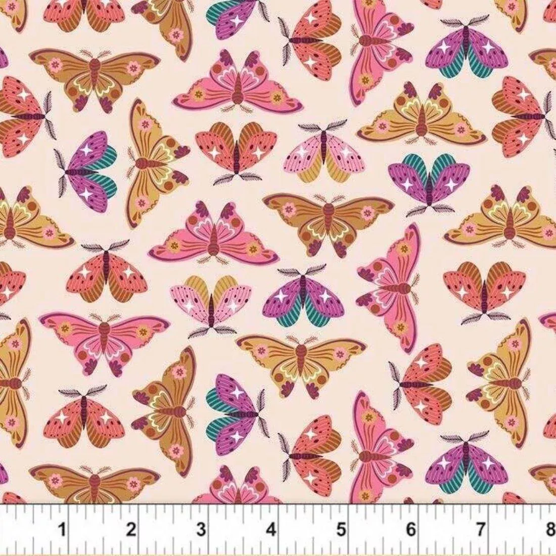 Pastel Moths by Dashwood Studio