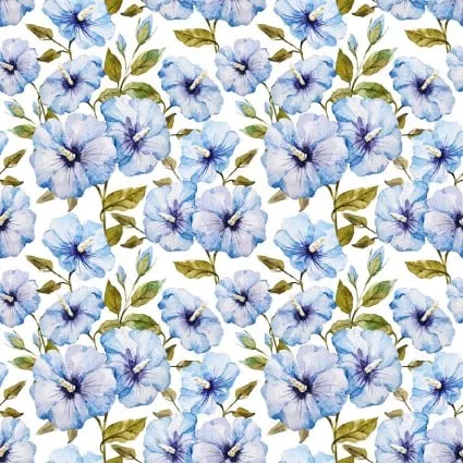 Periwinkle Spring Morning Glory White
