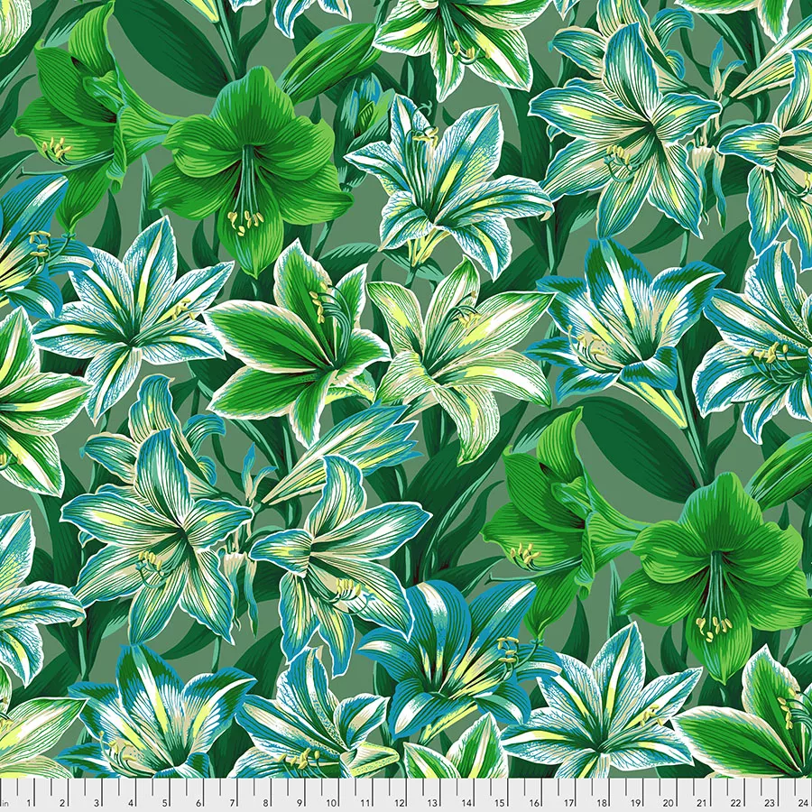 Philip Jacobs - Amaryllis - Green
