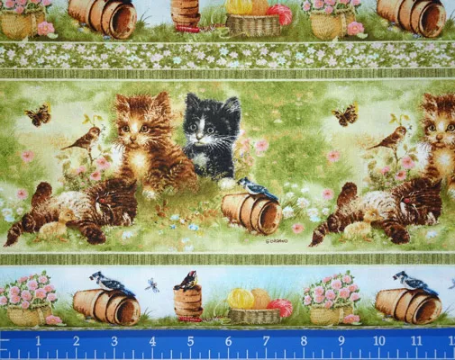 Playful Kitten Collection – 21498-MUL1