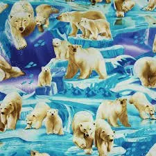 Polar Bears