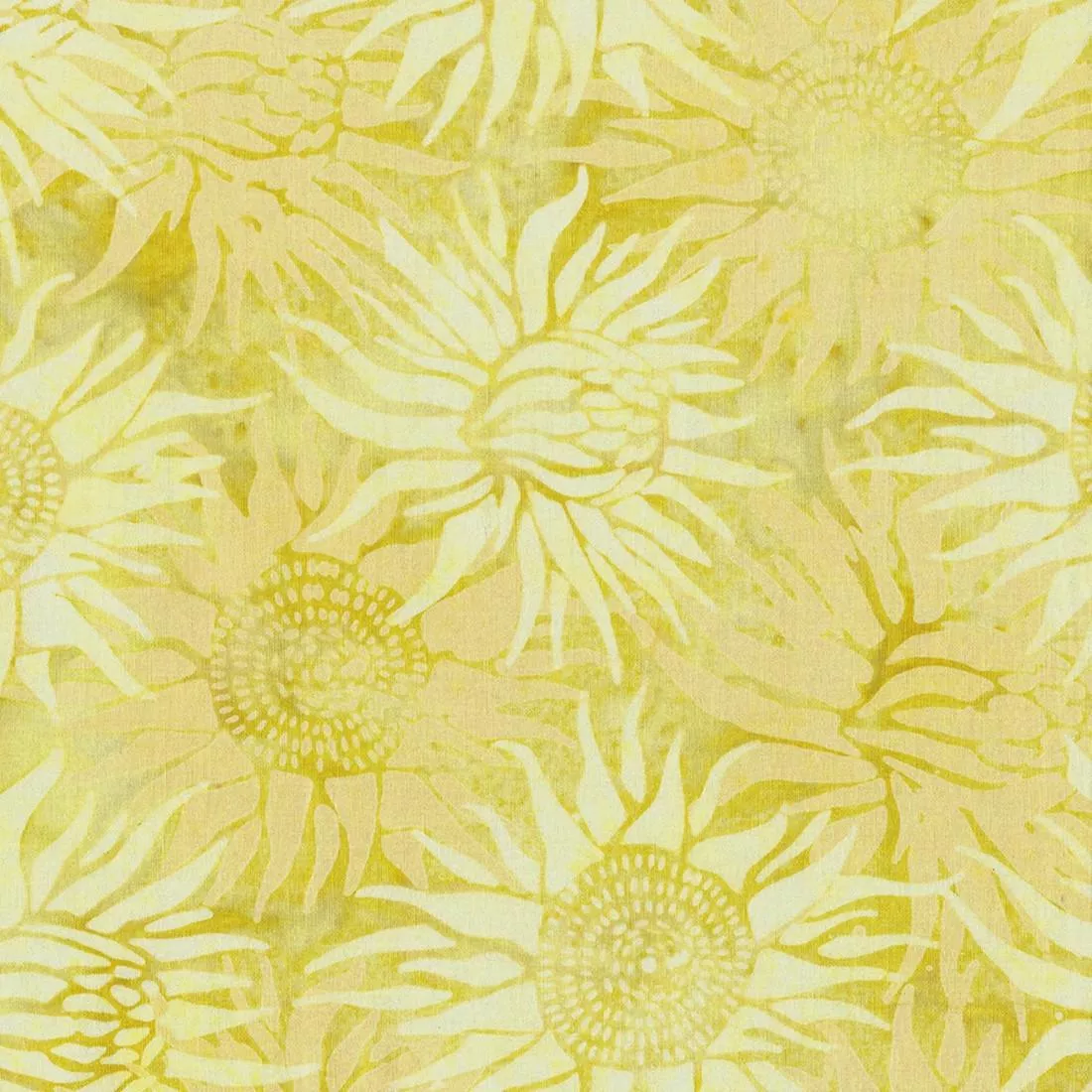 Protea Flower Sprout by IB Studio