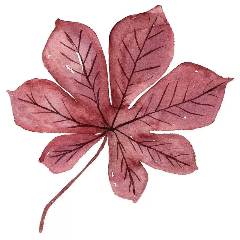 pumpkin-paradise-maple-leaf-fabric-panel-burgundy Pumpkin Paradise Maple Leaf Fabric Panel – Burgundy